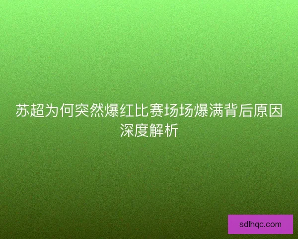 苏超为何突然爆红比赛场场爆满背后原因深度解析