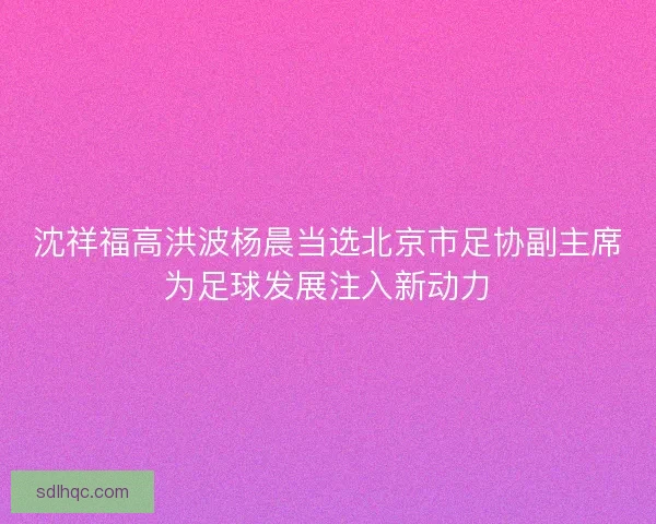 沈祥福高洪波杨晨当选北京市足协副主席为足球发展注入新动力