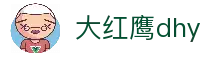 大红鹰dhy(中国)有限公司官网